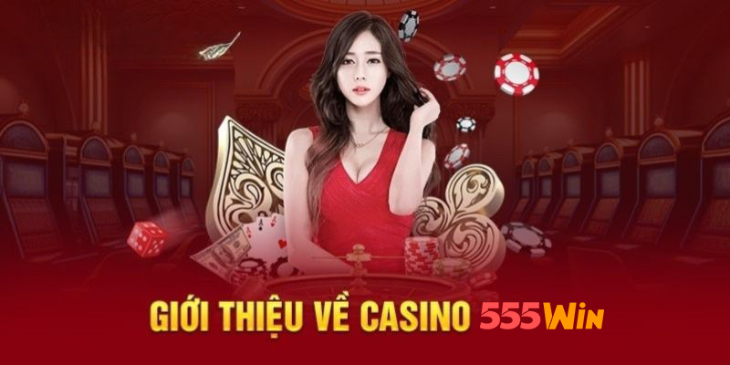 555win